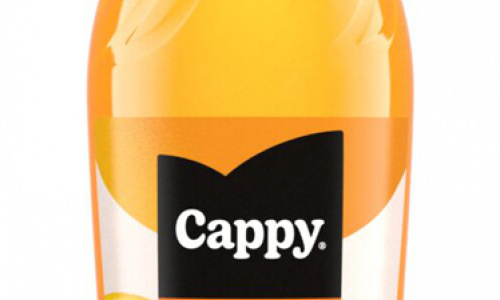 Cappy Apelsinu 0.25